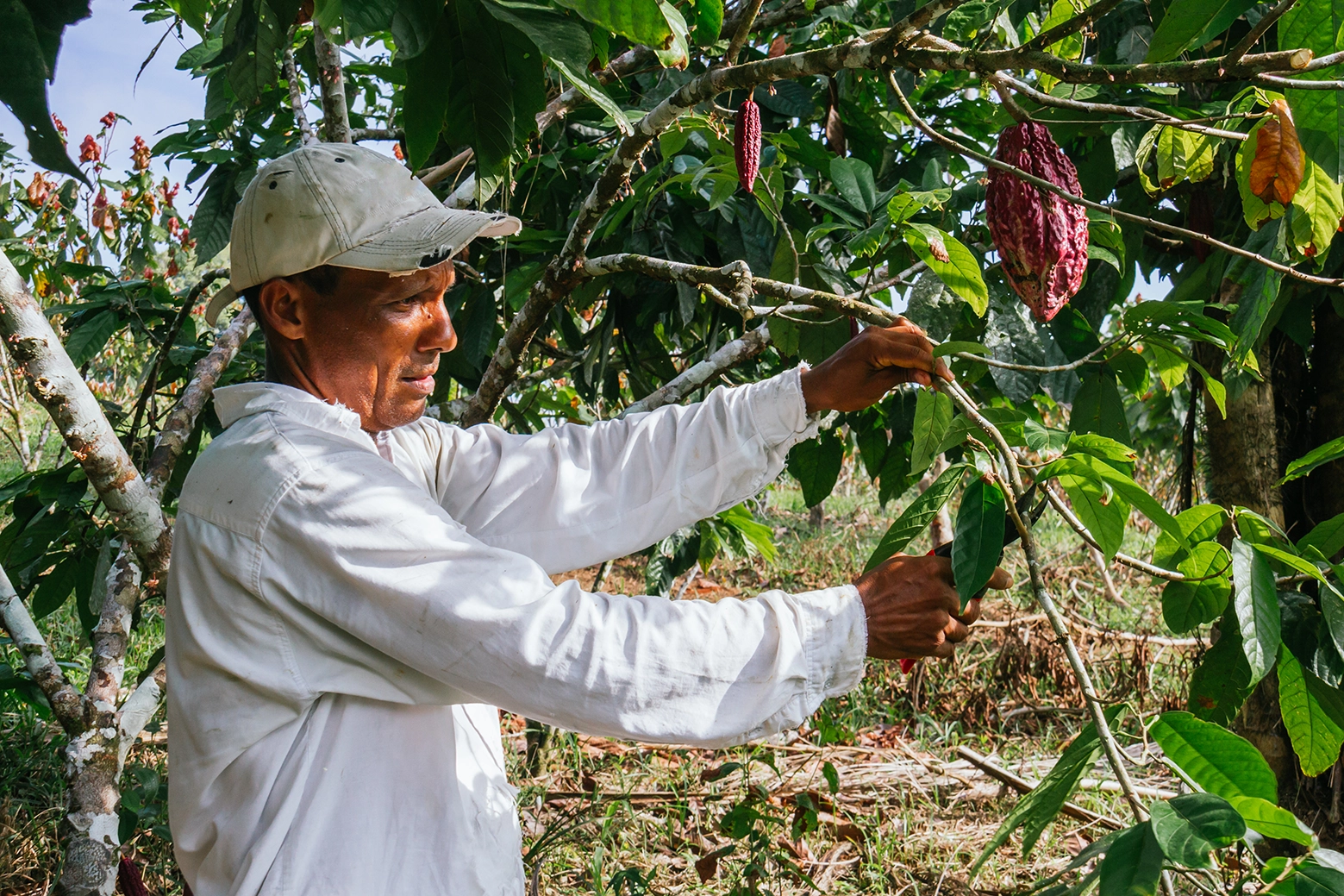 Agricultores Asociados Agricultores Asociados