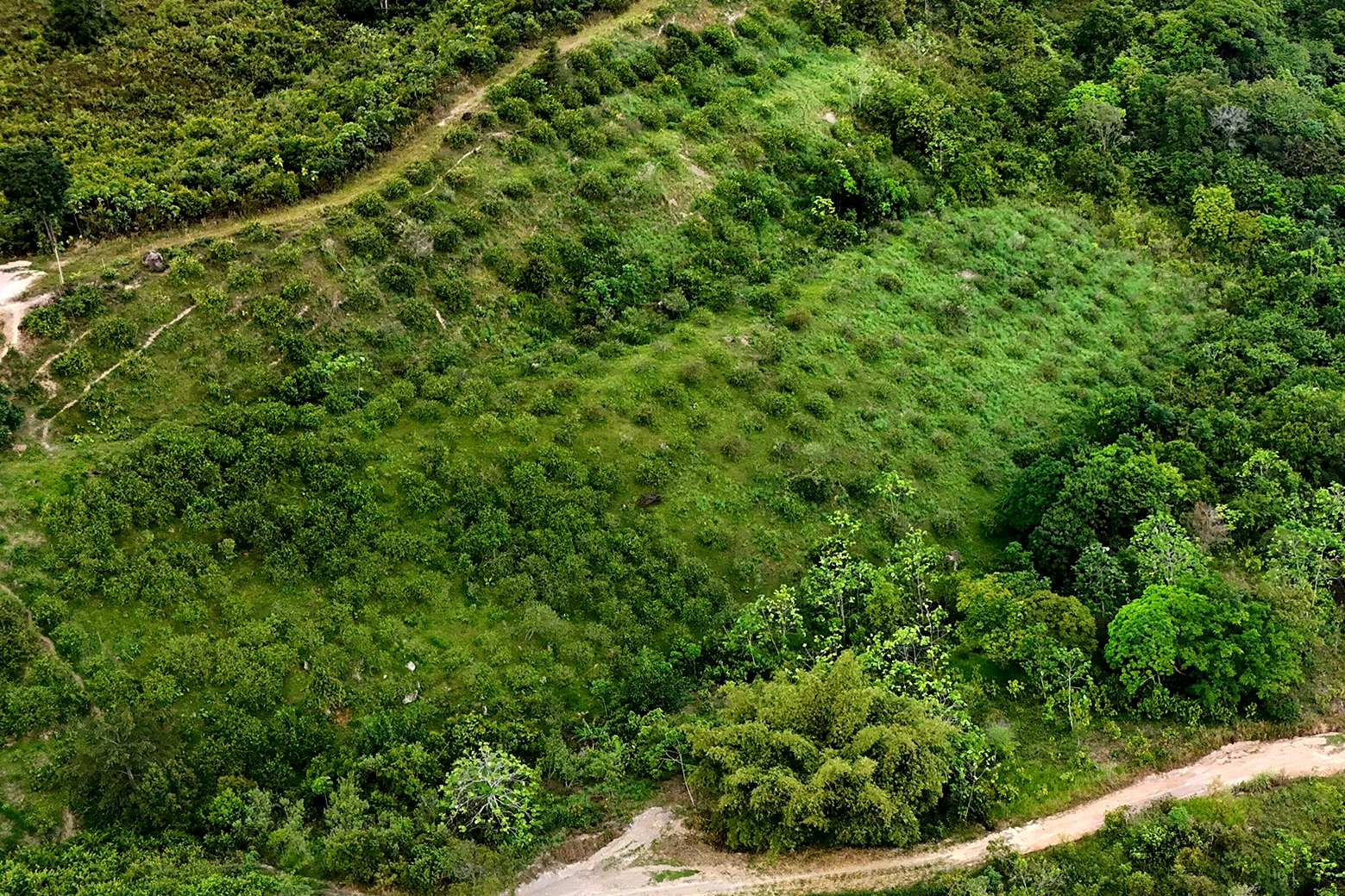 Sostenibilidad Ambiental Sostenibilidad Ambiental